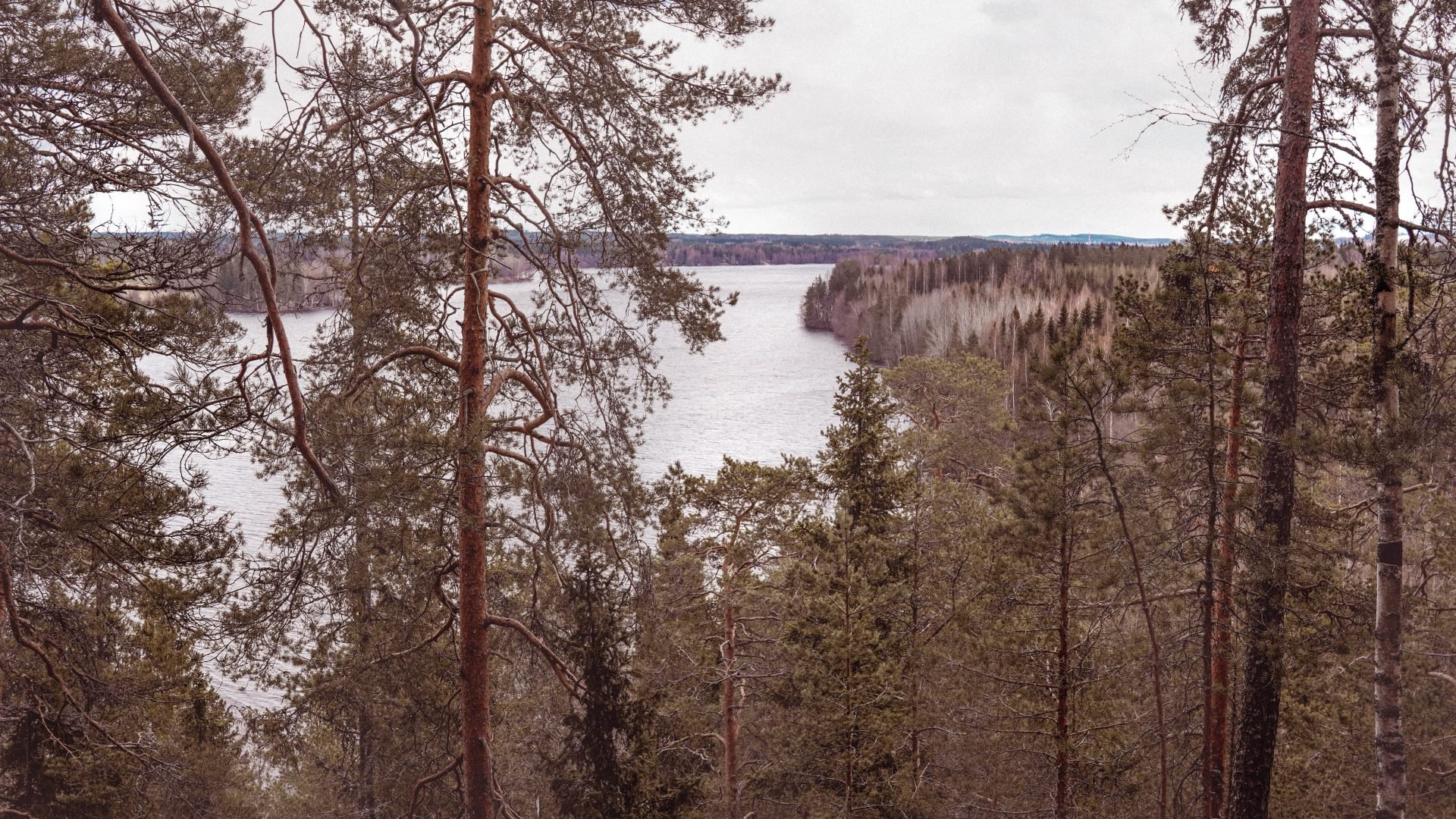 Mantereen Linnavuori Tarjoilee Yhdet H meenlinnan Parhaista N kymist mantereen-linnavuori-tarjoilee-yhdet-h-meenlinnan-parhaista-n-kymist