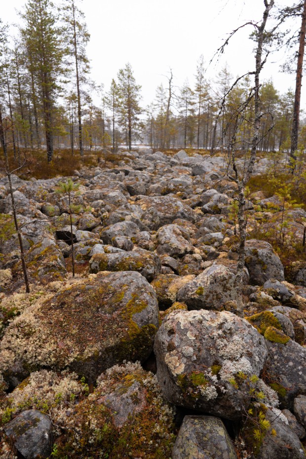 Salamaj rven Kansallispuistoon On Helppo Rakastua Reissukuume